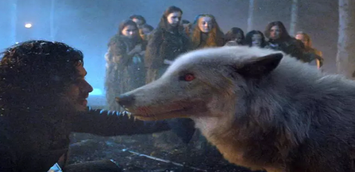 Uma espécie extinta de lobo que serviu de inspiração para uma criatura mítica na famosa série “Game of Thrones”