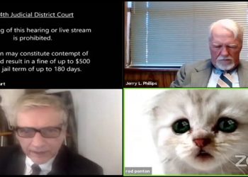 Advogado entra em tribunal virtual no Zoom com filtro de gato e viraliza — Foto: Reprodução/YouTube