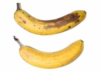 Bananas de 10 dias de idade: a de baixo é protegida pelo revestimento ecológico de celulose. Imagem: Manifesto Films, Lidl Schweiz