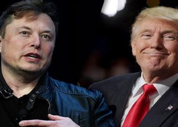 briga elon musk donald trump