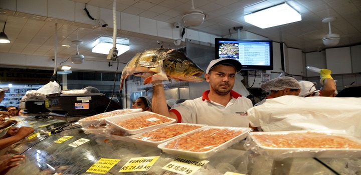 peixes contaminados por mercúrio