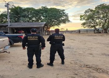 A Polícia Federal (PF) cumpre, nesta quinta-feira (3), três mandados de busca e apreensão, expedidos pela Justiça Federal, contra suspeitos de promover invasão de terras públicas e desmatamento na floresta amazônica