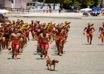 Cachorro caramelo vira 'guarda-vidas' e participa de treinamento em praia do litoral de SP; FOTOS
