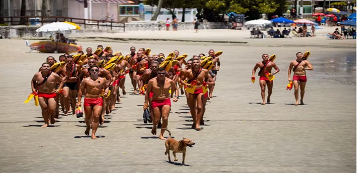 Cachorro caramelo vira 'guarda-vidas' e participa de treinamento em praia do litoral de SP; FOTOS