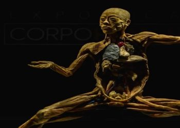 exposição corpo humano vila parque