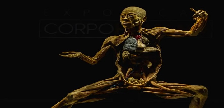 exposição corpo humano vila parque