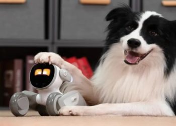 inteligencia artificial na veterinaria