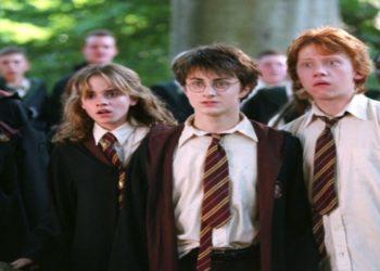 série sobre harry potter