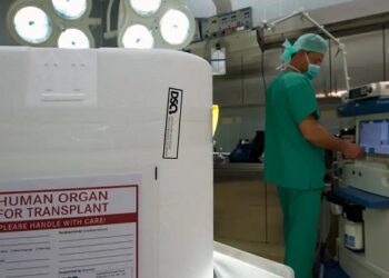 hiv transplantes