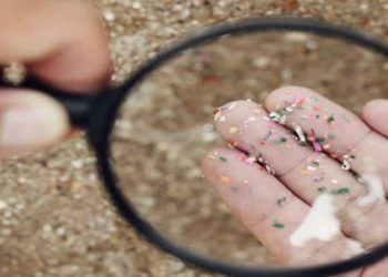 Estudo sugere que nariz transporta microplásticos até o cérebro (Imagem: Sansoen Saengsakaorat/Shutterstock)