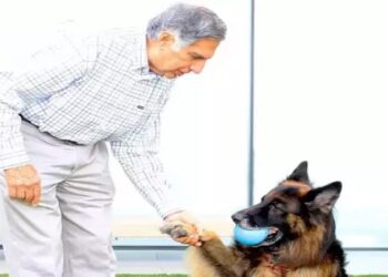 Ratan Tata ao lado do cachorro Tito, da raça pastor alemão
Foto: Reprodução/Instagram
