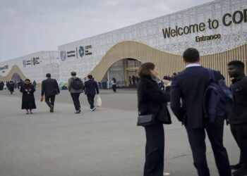 cop 29
