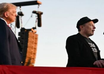 elon musk donald trump
