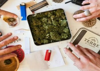 Estudo clínico com THC em veteranos de guerra com estresse pós-traumático tem aprovação histórica nos EUA