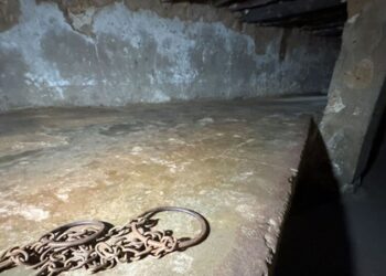 Vereadora em MG é acusada de usar trabalho escravo