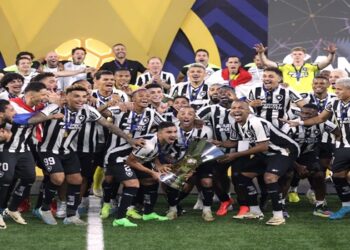 botafogo campeão brasileiro