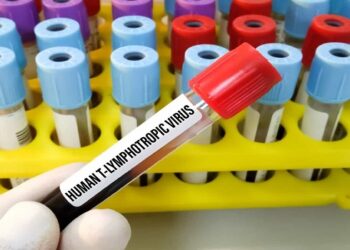HTLV: conheça o primo distante do HIV e os seus perigos para a saúde