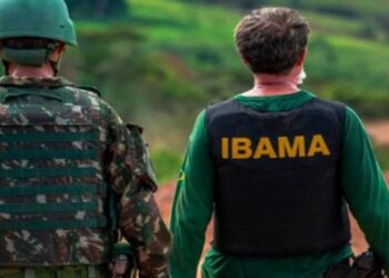 Concurso Ibama