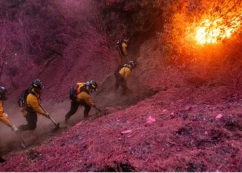 Ventos fortes preocupam equipes de emergência em Los Angeles