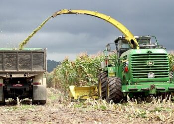 Tarifaço de Trump: entenda os impactos para o agronegócio brasileiro