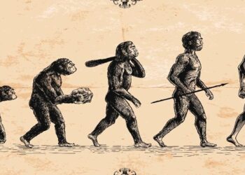 evolução origem da vida