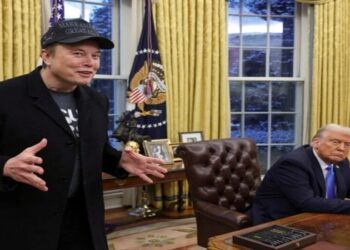 trump musk demissões