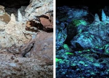 Cavernas fluorescentes guardam segredos sobre vida extraterrestre