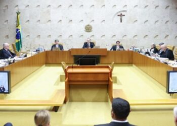 STF LINGUAGEM NEUTRA