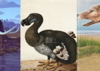 animos extintos de volta à vida