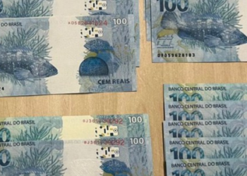 Ação da Polícia Federal foi desencadeada após alerta dos Correios sobre suspeita em encomenda.