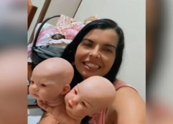 empreendedoras bebes reborn