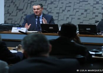 gripe aviaria no brasil