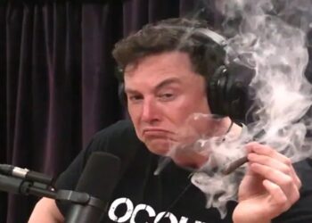 elon musk uso de drogas