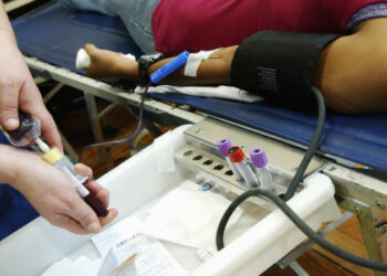 escandalo sangue reino unido