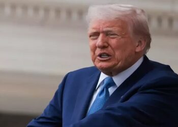 taco donald trump