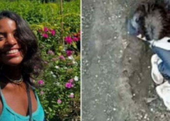 Brasileira Juliana Marins está há mais de 72 horas presa em um penhasco na Indonésia. Resgate é dificultado por neblina e falhas operacionais, e família cobra agilidade.