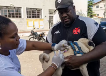 Mais de 3 mil cães e gatos foram vacinados em Macaé no Dia Municipal de Vacinação Antirrábica. A ação contou com 11 pontos de atendimento, incluindo drive-thru, e mobilizou 120 profissionais.