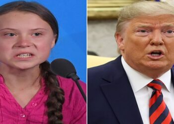 trump fala sobre greta thunberg