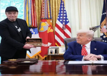 elon musk critica governo trump