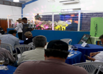 expo macae 2025