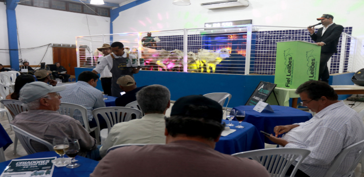 expo macae 2025