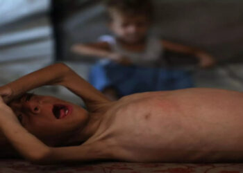 fome em gaza