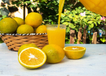 laranja brasil estados unidos