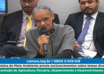 marina silva no congresso