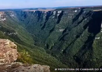 Planejamento da segurança em parques reduz riscos, mas não os elimina