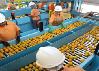 Governo dos EUA exclui 694 produtos brasileiros da nova tarifa de 50%. Itens como suco de laranja, minérios e aeronaves não serão afetados pela medida de Trump.
