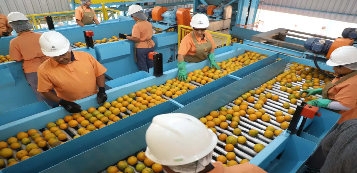 Governo dos EUA exclui 694 produtos brasileiros da nova tarifa de 50%. Itens como suco de laranja, minérios e aeronaves não serão afetados pela medida de Trump.