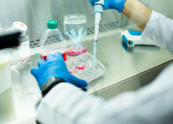 Estudo no Japão usa tecnologia CRISPR para remover o cromossomo extra da síndrome de Down em células humanas. Técnica pode revolucionar pesquisas sobre o transtorno genético.