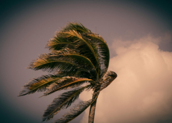 #DefesaCivil, #CamposDosGoytacazes, #VentosFortes, #Segurança, #Emergência, #Clima, #NorteFluminense