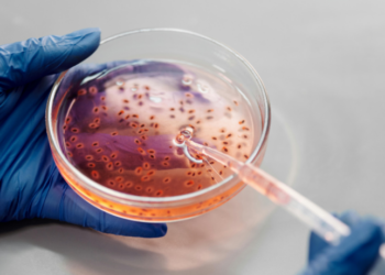 Segundo a Sociedade Brasileira de Infectologia, hospitais brasileiros apresentam falhas graves no uso de antibióticos, aumentando risco de infecções resistentes e ameaçando a saúde pública.